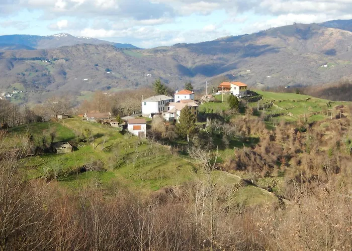 Gorgeous In Colli Di Ossegna With Wifi *